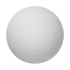 White volleyball