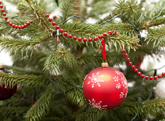 Obraz na płótnie Canvas red ball on a Christmas tree