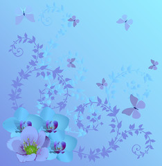blue orchids and butterflies