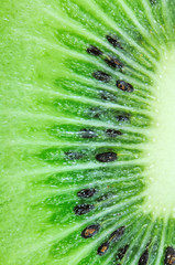 close up kiwifruit
