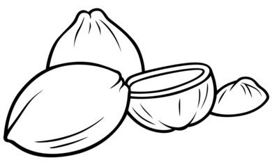 Coconuts - Black and White Cartoon illustration
