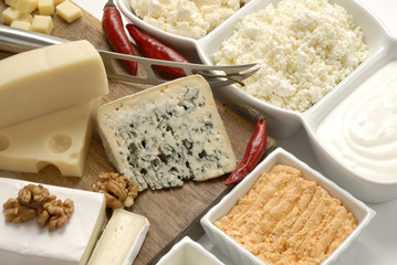 Different cheeses varieties