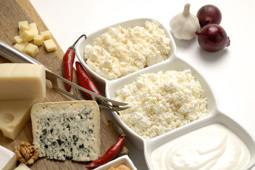 Different cheeses varieties