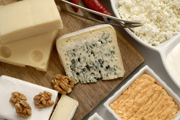 Different cheeses varieties