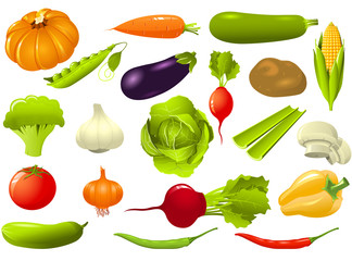 Set of vegetables