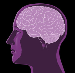 Gehirn und Männerkopf