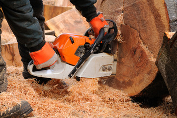 Logger with chainsaw. - 29076985