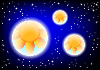 Cosmos with orange flowers
