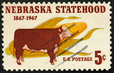 Postage stamp USA - circa 1967, Nebraska statehood