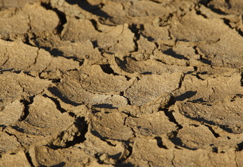 Dry cracked ground