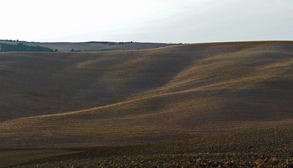 Campagna toscana