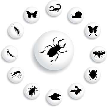Set buttons - 145_B. Insects