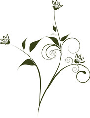 beautiful flowers decoration