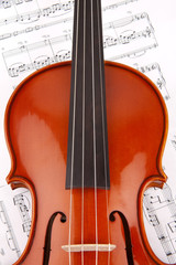 Fototapeta premium Violine Ausschnitt