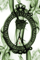 Fototapeta premium emo rose