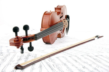 Naklejka premium Violine close-up