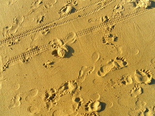 Sand with Footprints