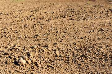 Plowed Field