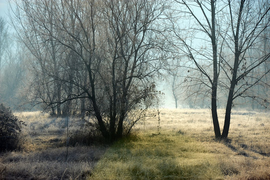 inverno paesaggio 1512