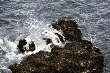 bretagne, côte sauvage