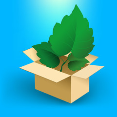 Leaves in box vector illustration