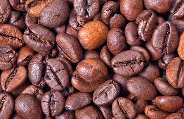 brown coffee beans background