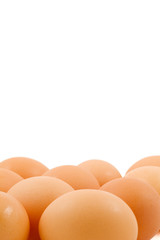 Brown Eggs
