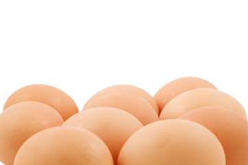 Brown Eggs