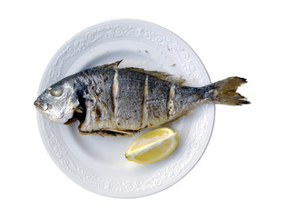 gilthead (dorada) fish on a plate