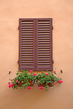 Brown Window in Siena, Tuscany