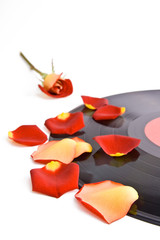 Rose and record plate.