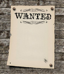 WANTED