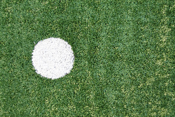 Obraz premium Fake grass soccer field