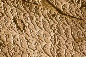 Ancient Egyptian Army, Kadesh