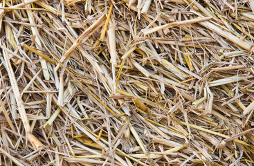 straw background