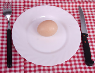 oeuf dans une assiette - nappe à carreaux