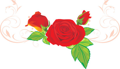 Three red roses with ornament. Vector