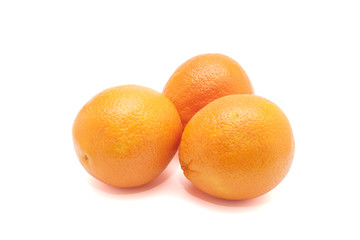Oranges on white background