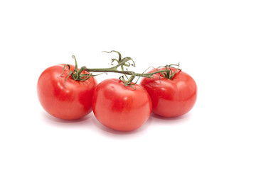 Tomatoes on white background