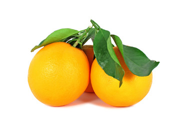 Two ripe oranges