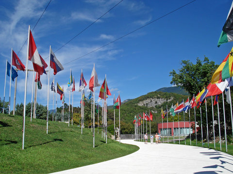 memorial flags