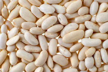 White bean background