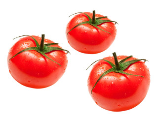 Fototapeta premium three fresh tomato isolated on white background