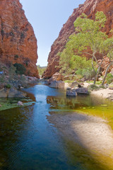 desert pond in the red center desert, australia