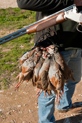 Fototapeta premium Hunting still life