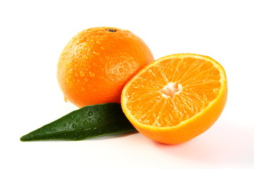 Mandarine, Mandarinen