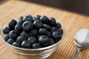 Bowl of Blueberries