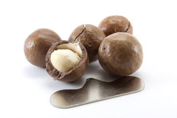 macadamia nut in a nutshell with nutcracker