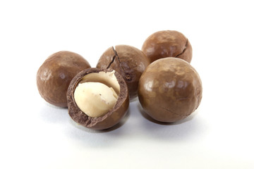 macadamia nut in a nutshell