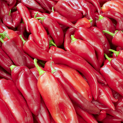 red pepperoni closeup, background